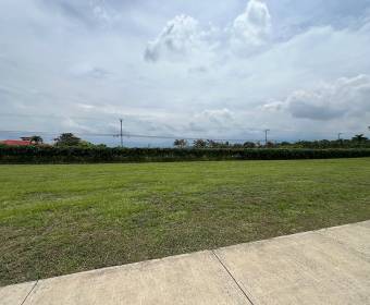 Lote 100% plano de 335 m2 a la venta en Ciudad Hacienda Los Reyes, condominio Las Mesetas. Lote 100% plano de 335 m2 a la venta en Ciudad Hacienda Los Reyes, condominio Las Mesetas.
