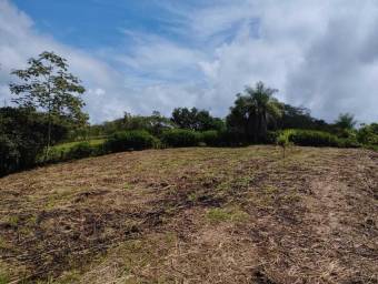 Venta de Quinta en Esparza-Espíritu Santo, Puntarenas. RAH 26-374 Venta de Quinta en Esparza-Espíritu Santo, Puntarenas. RAH 26-374