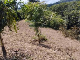 Venta de Quinta en Esparza-Espíritu Santo, Puntarenas. RAH 26-374 Venta de Quinta en Esparza-Espíritu Santo, Puntarenas. RAH 26-374