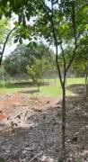 VENTA DE TERRENO PUNTA LEONA, GARABITO, PUNTARENAS VENTA DE TERRENO PUNTA LEONA, GARABITO, PUNTARENAS