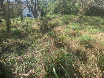 Se vende lote en Piedades Santa Ana 26-498
