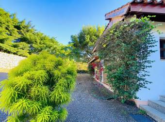 VENTA DE FINCA DE 31,95 HECTÁREAS EN OROSI, PARAÍSO, CARTAGO