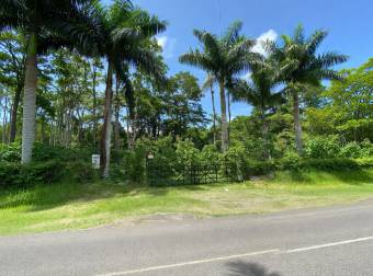 VENTA DE FINCA DE 31,95 HECTÁREAS EN OROSI, PARAÍSO, CARTAGO