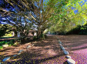 VENTA DE FINCA DE 31,95 HECTÁREAS EN OROSI, PARAÍSO, CARTAGO