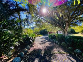 VENTA DE FINCA DE 31,95 HECTÁREAS EN OROSI, PARAÍSO, CARTAGO