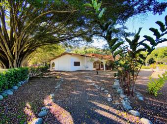 VENTA DE FINCA DE 31,95 HECTÁREAS EN OROSI, PARAÍSO, CARTAGO