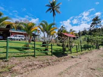 MLS-26-1444 LS VENTA HERMOSA FINCA MURCIA TURRIALBA CONTACTENOS AL # 86127562