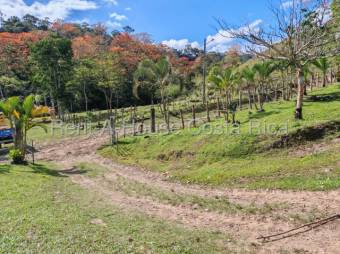 MLS-26-1444 LS VENTA HERMOSA FINCA MURCIA TURRIALBA CONTACTENOS AL # 86127562