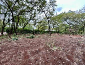 Spacious lot surrounded by nature