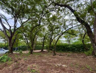 Spacious lot surrounded by nature