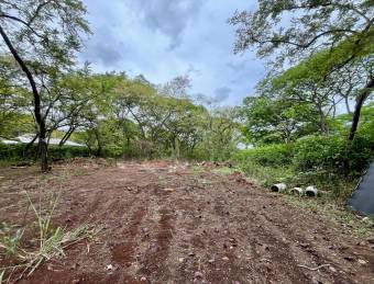 Spacious lot surrounded by nature