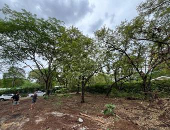 Spacious lot surrounded by nature