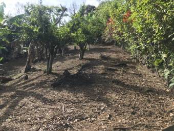 Venta de Lote en Piedades de Santa Ana. RAH 26-606