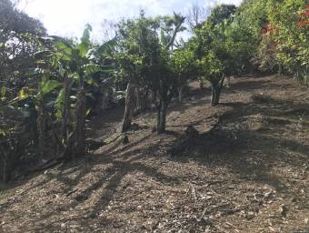 Venta de Lote en Piedades de Santa Ana. RAH 26-606