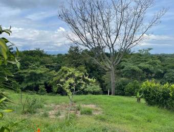 Venta de Quinta, en condominio de MI QUINTA, EN SAN MATEO DE OROTINA