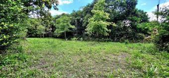 Venta de Lote en Alajuela, Orotina. Cod. LV5339