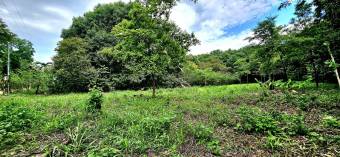 Venta de Lote en Alajuela, Orotina. Cod. LV5339
