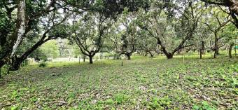 Venta de Lote en Alajuela, Orotina. Cod. LV5339