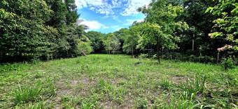 Venta de Lote en Alajuela, Orotina. Cod. LV5339
