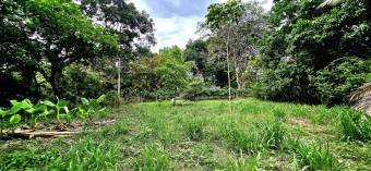Venta de Lote en Alajuela, Orotina. Cod. LV5339