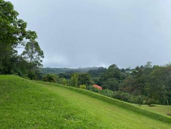 Venta de Lote en Poás, Alajuela. RAH 26-835 Venta de Lote en Poás, Alajuela. RAH 26-835