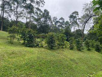 Venta de Lote en Poás, Alajuela. RAH 26-835 Venta de Lote en Poás, Alajuela. RAH 26-835