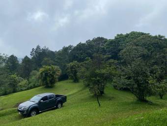 Venta de Lote en Poás, Alajuela. RAH 26-835 Venta de Lote en Poás, Alajuela. RAH 26-835