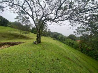 Venta de Lote en Poás, Alajuela. RAH 26-835 Venta de Lote en Poás, Alajuela. RAH 26-835