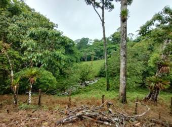 VENTA AMPLIA Y HERMOSA FINCA AGUAS MANZAS GUAPILES NEGOCIABLE VENTA AMPLIA Y HERMOSA FINCA AGUAS MANZAS GUAPILES NEGOCIABLE