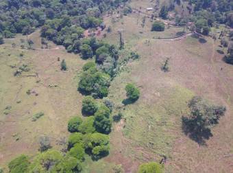 VENTA AMPLIA Y HERMOSA FINCA AGUAS MANZAS GUAPILES NEGOCIABLE VENTA AMPLIA Y HERMOSA FINCA AGUAS MANZAS GUAPILES NEGOCIABLE