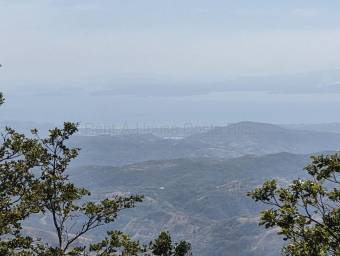 Venta de Lote en San Ramón-Zapotal, Alajuela. RAH 26-2180 Venta de Lote en San Ramón-Zapotal, Alajuela. RAH 26-2180