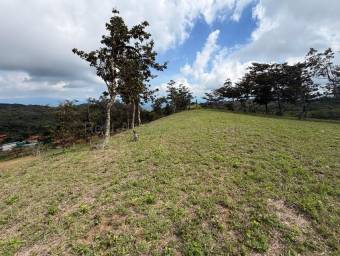 Venta de Lote en San Ramón-Zapotal, Alajuela. RAH 26-2180 Venta de Lote en San Ramón-Zapotal, Alajuela. RAH 26-2180