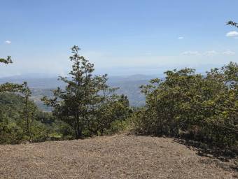 Venta de Lote en San Ramón-Zapotal, Alajuela. RAH 26-2180 Venta de Lote en San Ramón-Zapotal, Alajuela. RAH 26-2180