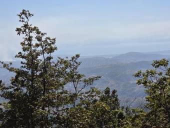 Venta de Lote en San Ramón-Zapotal, Alajuela. RAH 26-2180 Venta de Lote en San Ramón-Zapotal, Alajuela. RAH 26-2180