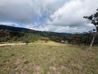 Venta de Lote en San Ramón-Zapotal, Alajuela. RAH 26-2180 Venta de Lote en San Ramón-Zapotal, Alajuela. RAH 26-2180