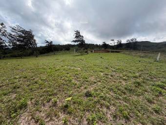 Venta de Lote en San Ramón-Zapotal, Alajuela. RAH 26-2180 Venta de Lote en San Ramón-Zapotal, Alajuela. RAH 26-2180