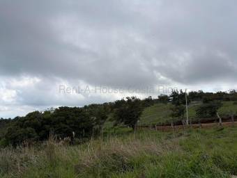 Venta de Lote en San Ramón-Zapotal, Alajuela. RAH 26-2180 Venta de Lote en San Ramón-Zapotal, Alajuela. RAH 26-2180