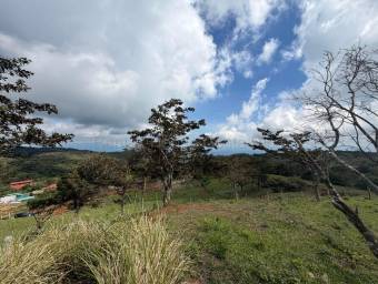Venta de Lote en San Ramón-Zapotal, Alajuela. RAH 26-2180 Venta de Lote en San Ramón-Zapotal, Alajuela. RAH 26-2180