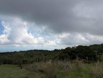 Venta de Lote en San Ramón-Zapotal, Alajuela. RAH 26-2180 Venta de Lote en San Ramón-Zapotal, Alajuela. RAH 26-2180