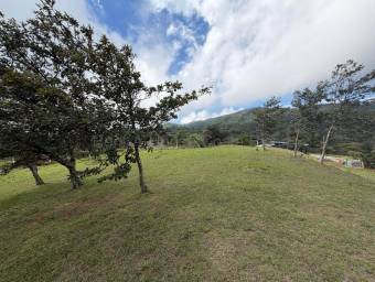 Venta de Lote en San Ramón-Zapotal, Alajuela. RAH 26-2180 Venta de Lote en San Ramón-Zapotal, Alajuela. RAH 26-2180