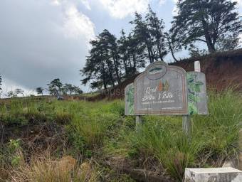 Venta de Lote en San Ramón-Zapotal, Alajuela. RAH 26-2180 Venta de Lote en San Ramón-Zapotal, Alajuela. RAH 26-2180