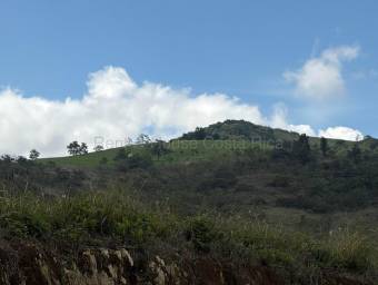 Venta de Lote en San Ramón-Zapotal, Alajuela. RAH 26-2180 Venta de Lote en San Ramón-Zapotal, Alajuela. RAH 26-2180