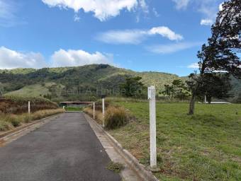 Venta de Lote en San Ramón-Zapotal, Alajuela. RAH 26-2180