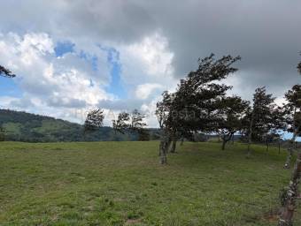 Venta de Lote en San Ramón-Zapotal, Alajuela. RAH 26-2180 Venta de Lote en San Ramón-Zapotal, Alajuela. RAH 26-2180