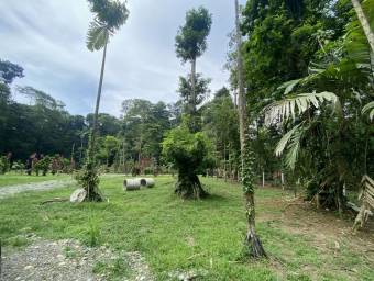 Venta de Casa de Playa y Montaña en Talamanca-Sixaola, Limón. RAH 26-634