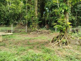 Venta de Casa de Playa y Montaña en Talamanca-Sixaola, Limón. RAH 26-634
