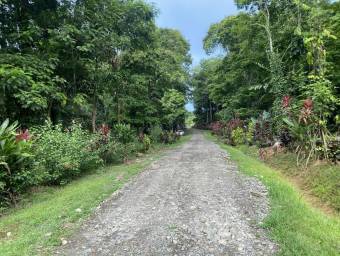 Venta de Casa de Playa y Montaña en Talamanca-Sixaola, Limón. RAH 26-634