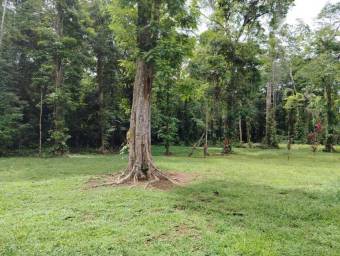 Venta de Casa de Playa y Montaña en Talamanca-Sixaola, Limón. RAH 26-634