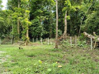 Venta de Casa de Playa y Montaña en Talamanca-Sixaola, Limón. RAH 26-634