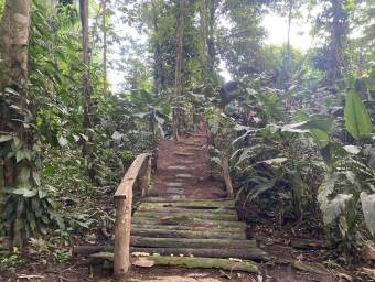 Venta de Casa de Playa y Montaña en Talamanca-Sixaola, Limón. RAH 26-634